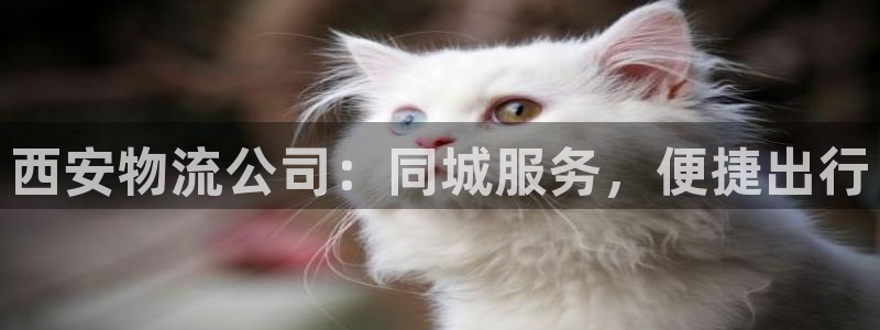 旺财28登录用户名登录不上：西安物流