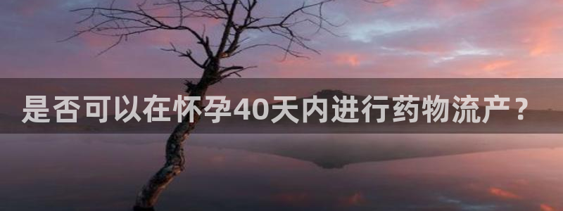 旺财28下载链接是多少:是否可以在怀