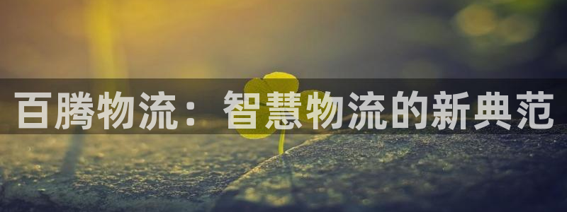 旺财28入口问一问：百腾物流：智慧物
