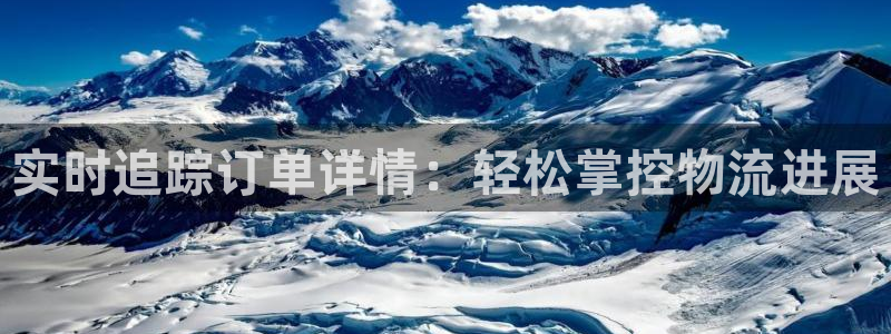 旺财28正规吗?：实时追踪订单详情：