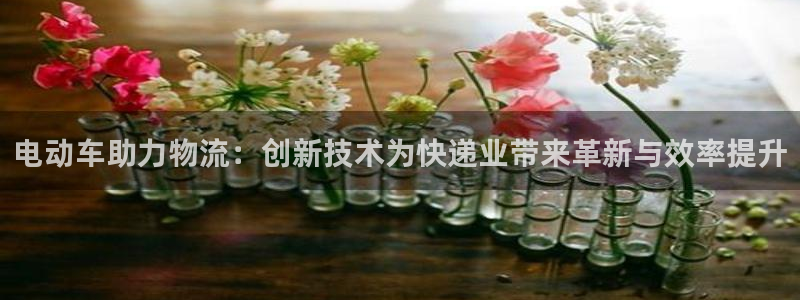 旺财28如何看计划:电动车助力物流: