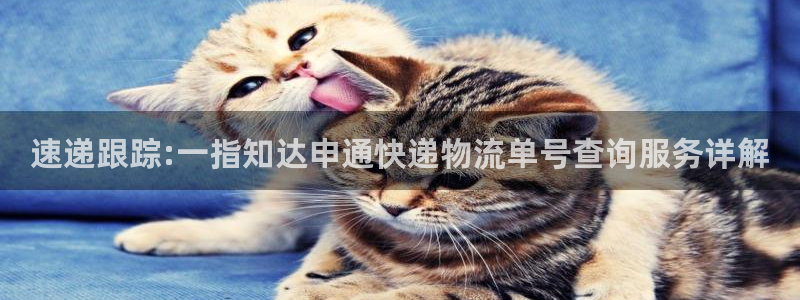 旺财28能提现吗：速递跟踪:一指知达