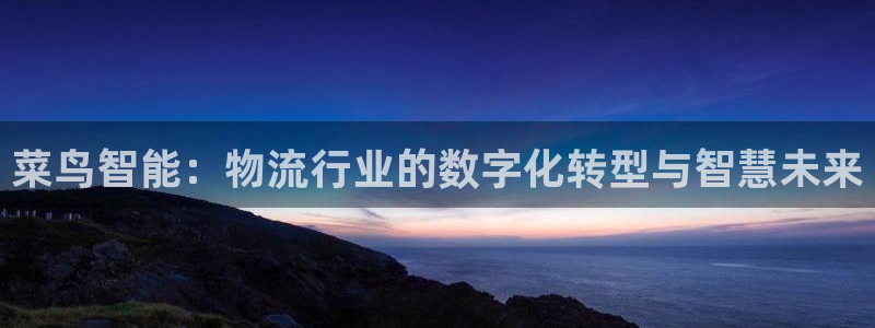 旺财28软件是什么：菜鸟智能：物流行