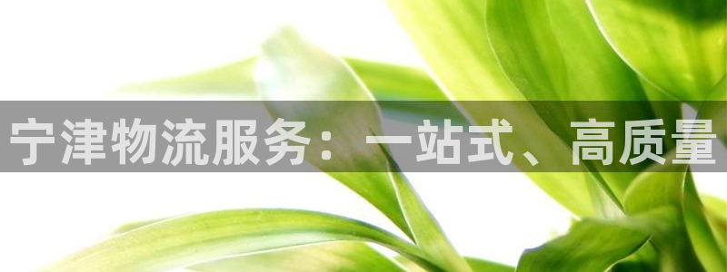旺财28电子：宁津物流服务：一站式、