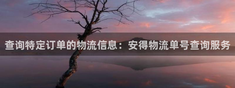旺财28黑款：查询特定订单的物流信息