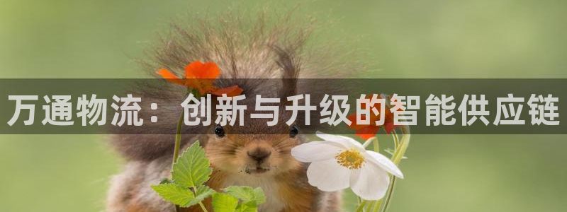 旺财28充值不到账什么原因：万通物流