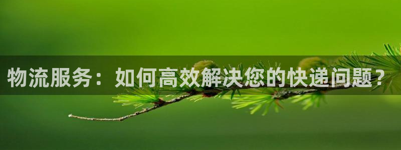 旺财28链接来一个：物流服务：如何高效解决您的快递问题？