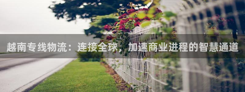 旺财28是啥：越南专线物流：连接全球