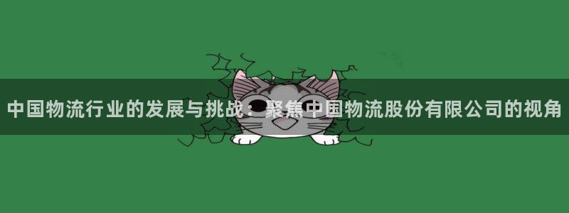 旺财28绿骨头：中国物流行业的发展与挑战：聚焦中国物流股份有