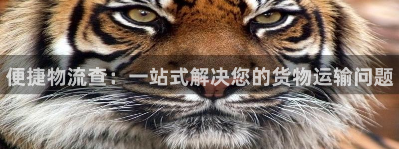 旺财28圈：便捷物流查：一站式解决您