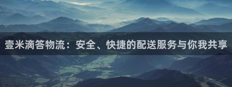 旺财28入口问一问：壹米滴答物流：安