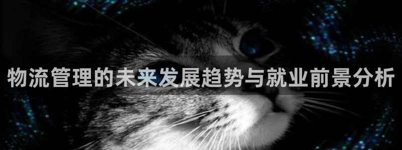 旺财28登录不上咋回事：物流管理的未