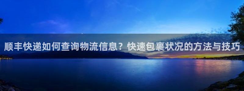 旺财28注册用户名是什么：顺丰快递如何查询物流信息？快速包裹