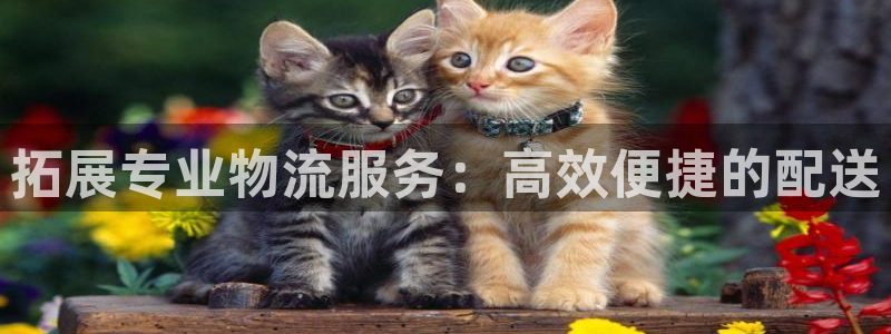 旺财28加拿大能提现吗