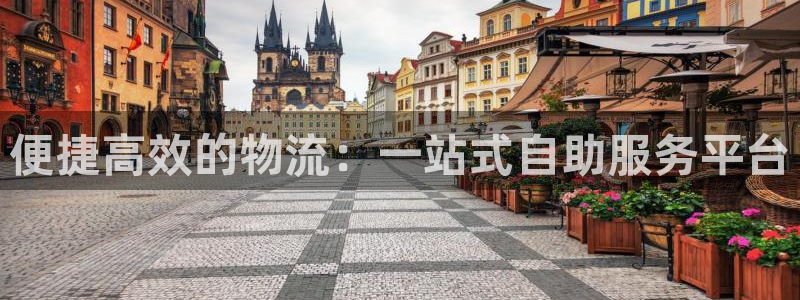 旺财28游戏链接:便捷高效的物流:一