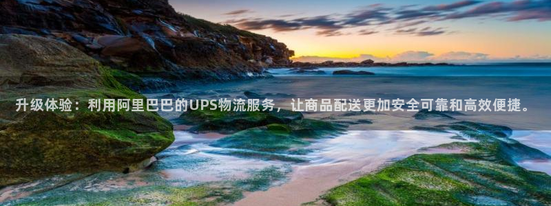 旺财28分分28输了能不能退