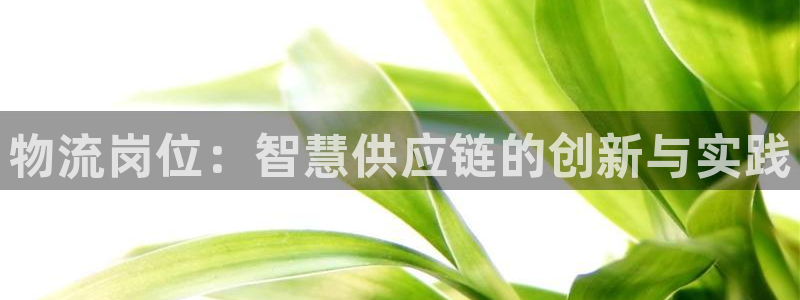旺财28自行车搞笑图片：物流岗位：智慧供应链的创新与实践