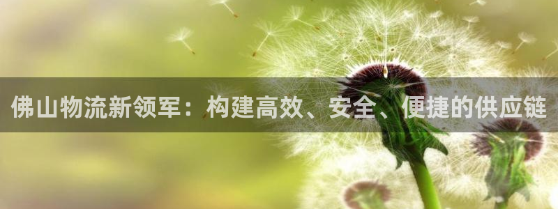 旺财28登录网：佛山物流新领军：构建