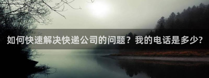 旺财28充值不到账：如何快速解决快递