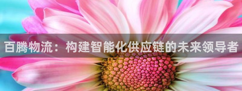旺财28代理落网：百腾物流：构建智能