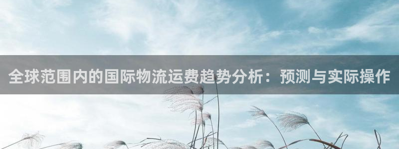 旺财28注册二维码：全球范围内的国际