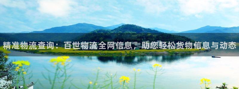 旺财28是正规平台吗：精准物流查询：