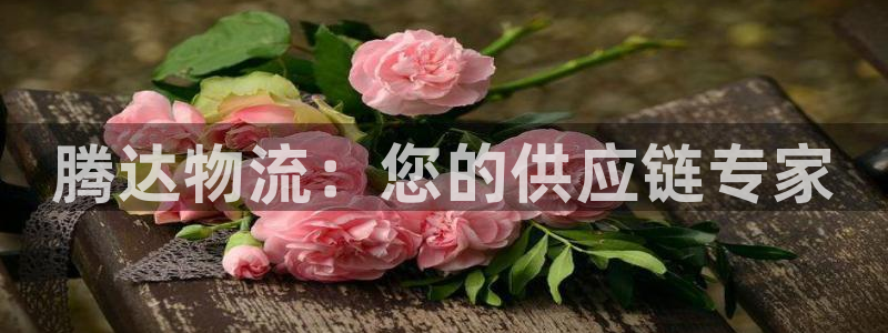 旺财28：腾达物流：您的供应链专家