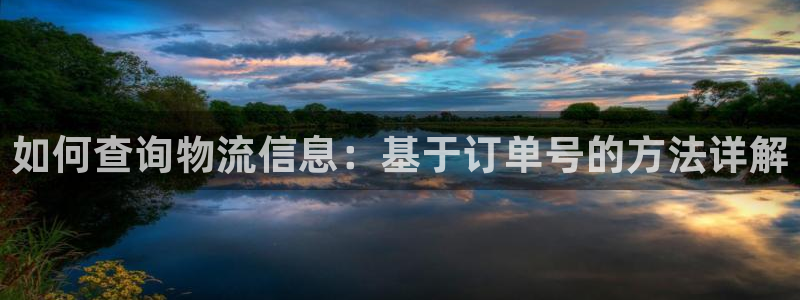 旺财28图片:如何查询物流信息:基于