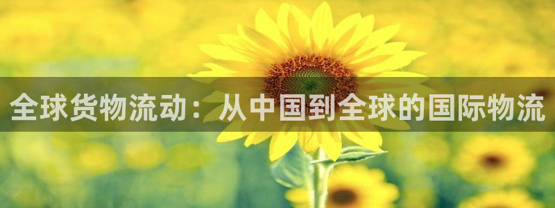 旺财28预测网