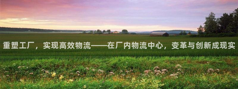 旺财28旗下:重塑工厂,实现高效物流