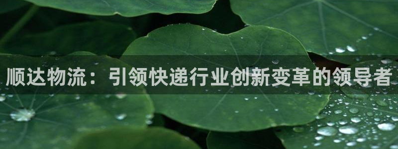 旺财28正规吗?:顺达物流:引领快递