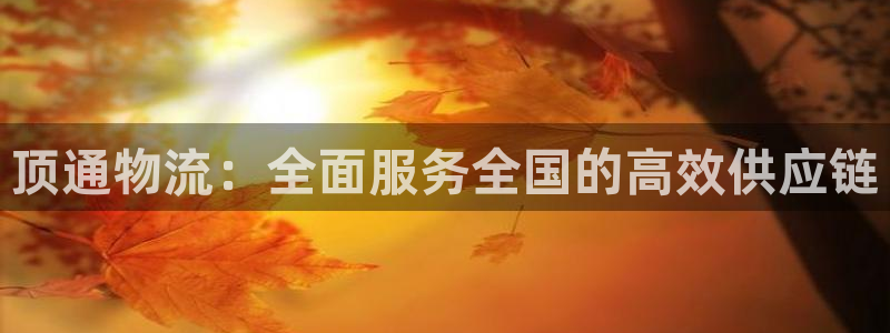 旺财28下载体育:顶通物流:全面服务