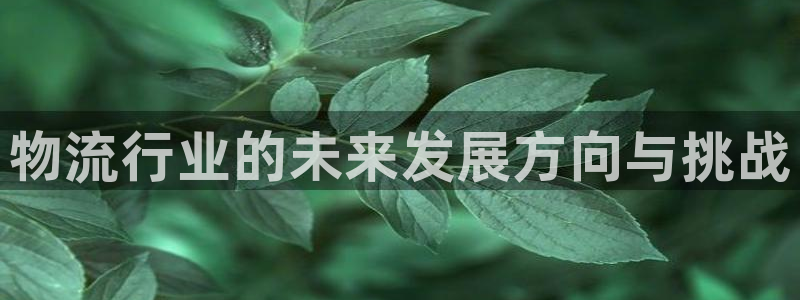 旺财28官网入口pc预测:物流行业的