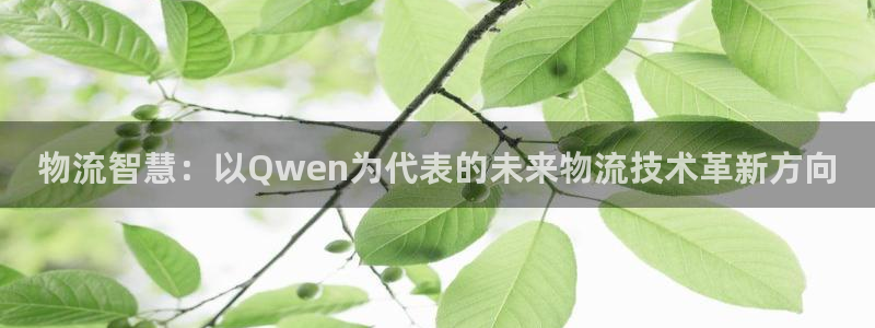 旺财28登录流程：物流智慧：以Qwe
