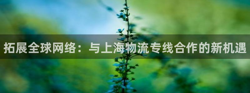 旺财28怎么注册账号：拓展全球网络：