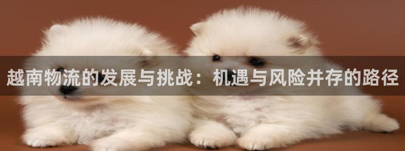 旺财28预测：越南物流的发展与挑战：