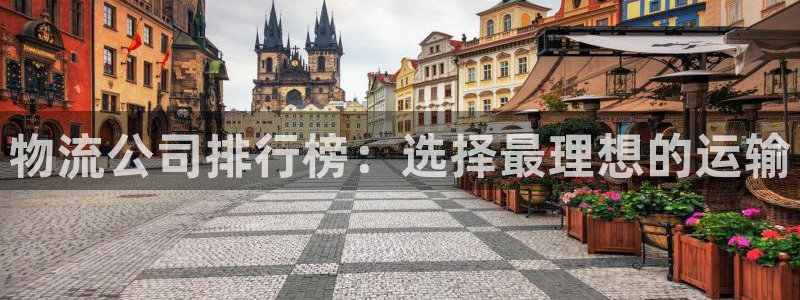 旺财28犯法吗：物流公司排行榜：选择