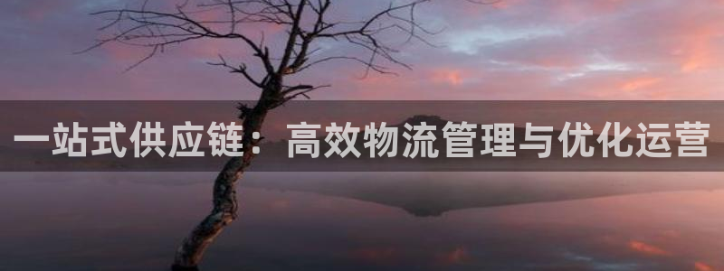 旺财28为什么打不开：一站式供应链：