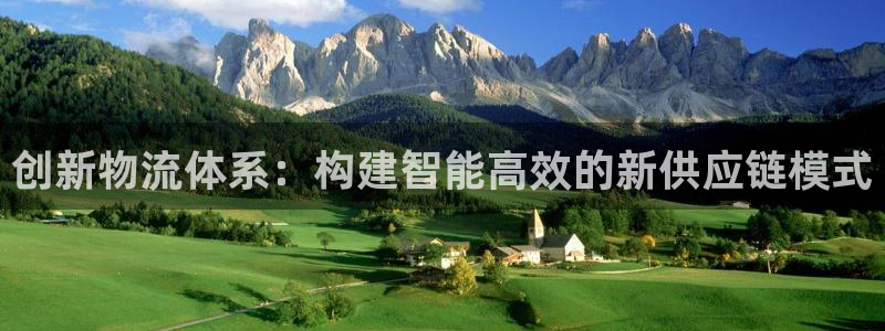 旺财28充值为什么充不了：创新物流体