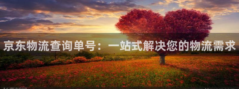 旺财28网站怎么注册：京东物流查询单