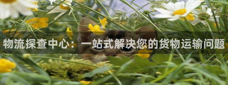 旺财28充值方式：物流探查中心：一站