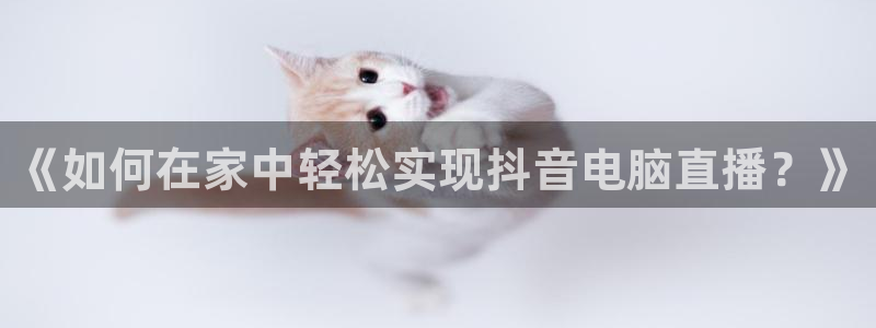 鲸鱼体育在线直播nba