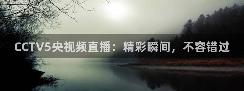 鲸鱼nba直播：CCTV5央视频直播：精彩瞬间，不容错过