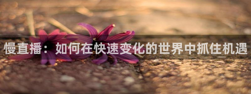 cc35tv鲸鱼体育：慢直播：如何在快速变化的世界中抓住机遇